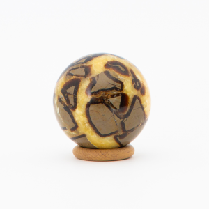 Septarian Sphere